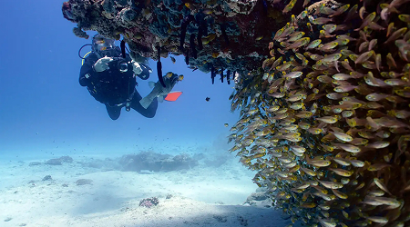 ningaloo-reef image